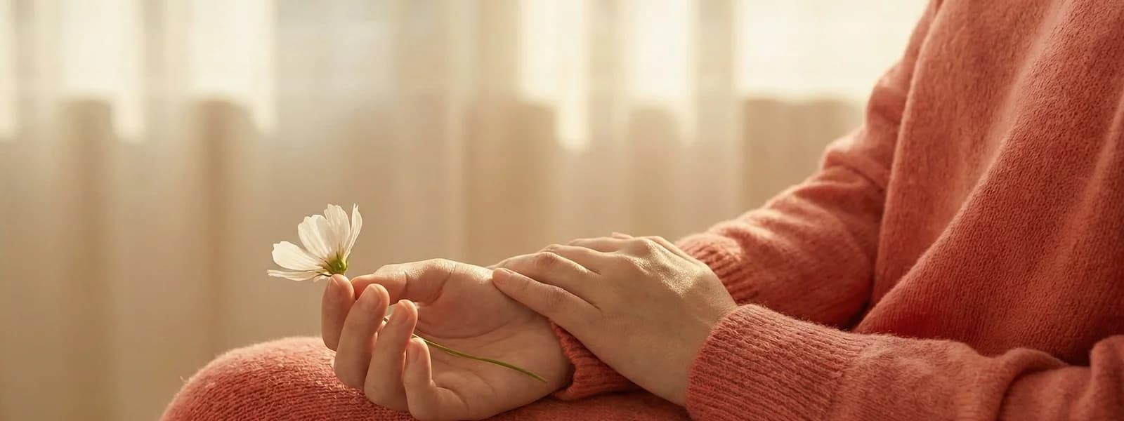 Womans hands gently resting in her lap holding a small white flower in soft light
