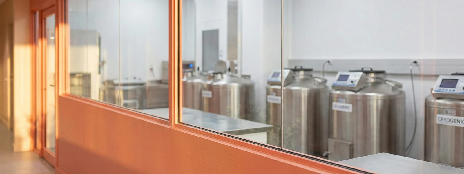 Modern lab seen through a window from a warm, welcoming clinic corridor